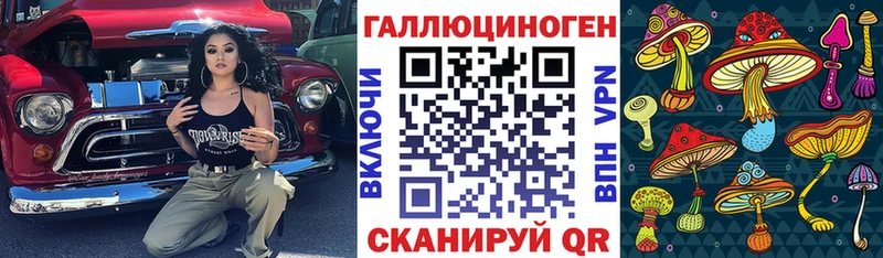 Галлюциногенные грибы Psilocybe  Слюдянка 